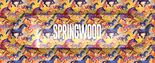 Springwood Horses Skateboard Deck 8.1